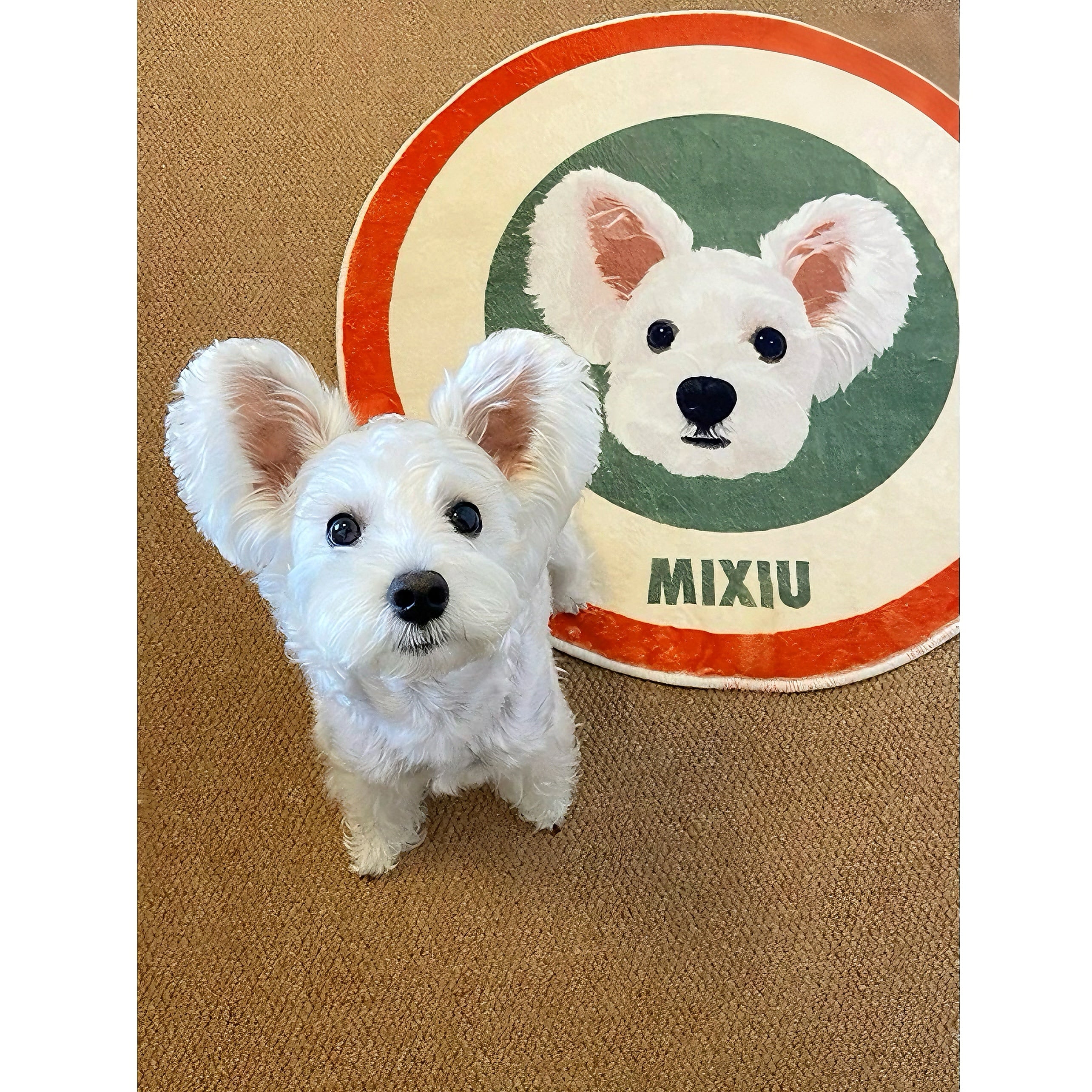 Custom Pet Rug - Personalized Cat & Dog Mat with Name | Non-Slip Plush Blanket | Pet Lover Gift