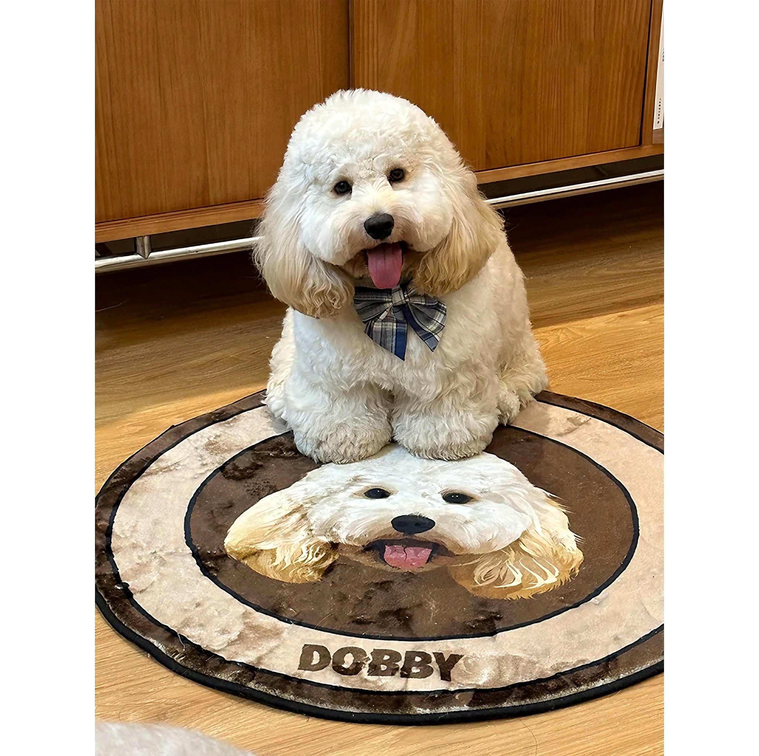 Custom Pet Rug - Personalized Cat & Dog Mat with Name | Non-Slip Plush Blanket | Pet Lover Gift